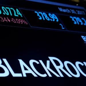 BlackRock’s Bitcoin (BTC) Holdings Revealed: Here’s The Stash