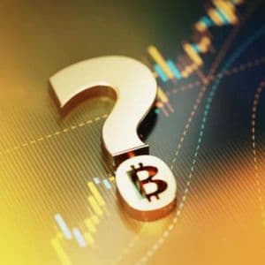 A Turning Point for Bitcoin in Europe: A Company Announces It Has Purchased BTC