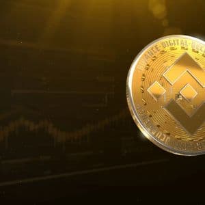 Tomorrow is a Critical Day for BNB – Here’s What to Expect