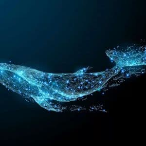 There’s a Big Whale Invasion on Ethereum: They’ve Accumulated Billions of Dollars Worth of ETH – Here Are the Details