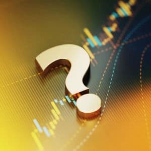 A US-Based Company Announces Significant Investment in a Token That Is Not Even Among the Top 50 Altcoins