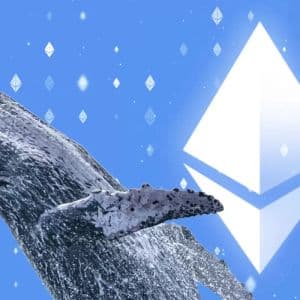 Whale Who Bought Ethereum in 2014 Has Woken Up: It Paid Only $100, Here’s Its Current Value