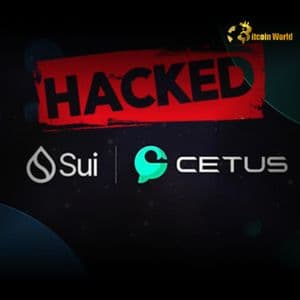 Cetus Exploit: Shocking $220M Loss & Urgent Recovery Plan on Sui