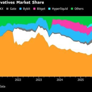 Binance’s Grip on Crypto Loosens as Market Crash Rattles Faith