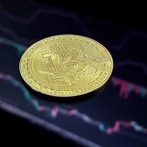 Is This The Bitcoin Price Bottom Or A Fakeout? Analyst Reveals When You Shouldn’t Be Excited