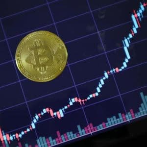 Bitcoin Holders Pull Coins Off Exchanges, Data Points To Steady Buying