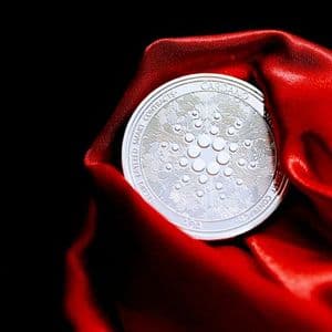 Cardano Shorts Pile Up As Weekly Rates Reach Multi-Year High