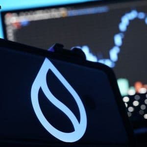 Sui Foundation and Industry Giants Launch Hashi Bitcoin Finance Primitive