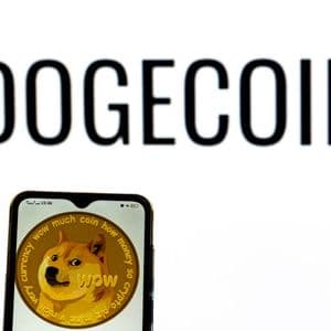 Why The Dogecoin Price Could Outperform Bitcoin Again