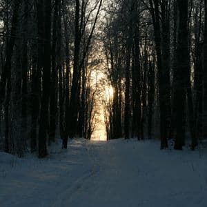 Bitcoin Faces Familiar Crossroads As Midterm Cycle Turns Bearish: Analyst