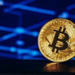 Bitcoin CVDD Data Points To Possible Bottom Amid Market Mayhem – Detail