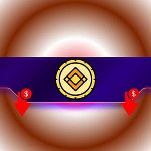 These Altcoins Crash Hard Following Binance Delisting: Details