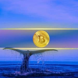Bitcoin’s Biggest Holders Are Accumulating Again: What Are Whales Preparing For?