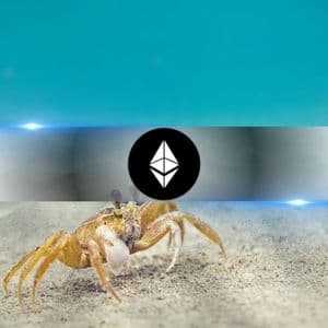Massive $20K Bull Market For Ethereum Coming, But $1,500 Could Come First: Analysts