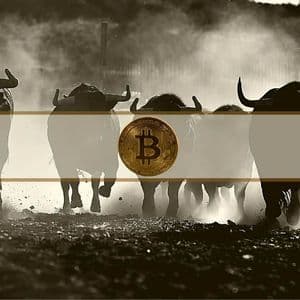 BTC Could Hit Fresh Summer Highs Within Weeks if $73K Holds: Analyst
