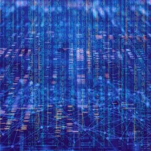 Hackers claim data breach at crypto tax app Waltio, exposing 50,000 users