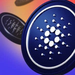 Cardano whales bag 454M ADA while small wallets exit