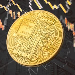 The Wrapper Economy: How the Crypto Treasury Flywheel Works