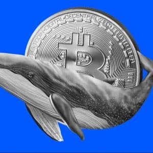 Bitcoin whales define new trading range amid market shifts