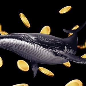 Whales are still moving funds through Nobitex