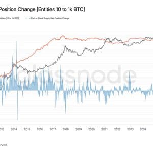 Large bitcoin holders buy the most coins since the FTX collapse of 2022