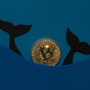 Bitcoin Whales Are Thrashing Around. What's Going On?
