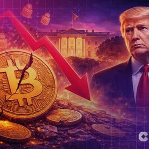 Bitcoin Loses 25,000 Millionaire Addresses One Year Into Trump Presidency