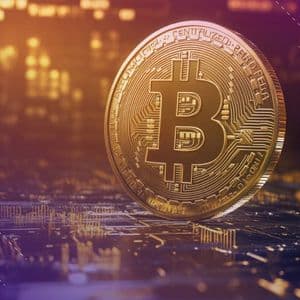 Same Macro Tape, Different Bid – Gold Absorbs Flows as Bitcoin Swings