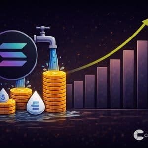 Solana Crypto Stablecoin Liquidity Hits Record Highs as Open Interest Climbs