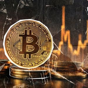 Bitcoin Price Dump Raises Eyebrows