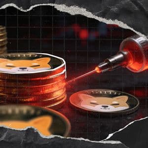 549 Billion Shiba Inu (SHIB) Was Injected: Exchange Inflows Reach Uncomfortable Levels