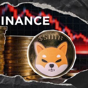 733 Billion SHIB Outflow: Binance's Shiba Inu Stockpile Dips 1.38% While Holding a Massive 52.5T in Total Reserves