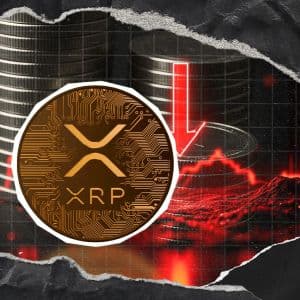 XRP Price Action Hovers at Critical Support