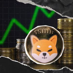 Shiba Inu Price Forms New Support as SHIB Netflow Jumps 76%