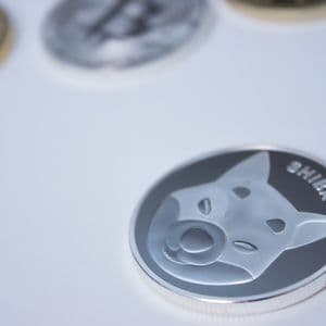 Shiba Inu (SHIB) Outflows Spike Violently as Traders Rush to Self-Custody