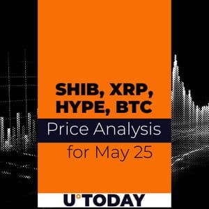Shiba Inu (SHIB), XRP, Hyperliquid (HYPE) and Bitcoin (BTC) Price Analysis for May 26: Risk Brings Profits