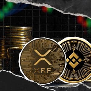 BNB Pulls Well Ahead of XRP Market Cap