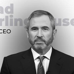 Ripple CEO Celebrates 14-Year Milestone