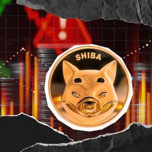 SHIB Team Issues Update as Shiba Inu Website Faces Temporary Disruption