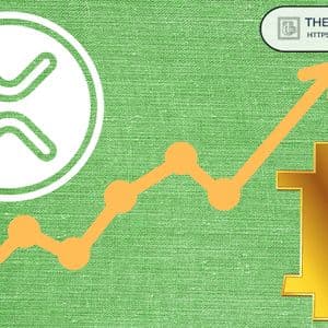 XRP Was Created As a New Bitcoin 15 Years Ago: Former Ripple Director