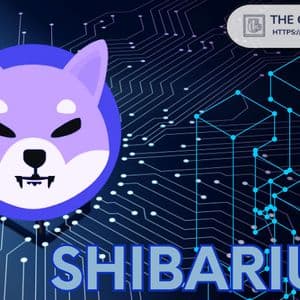 New Layer-3 Blockchain Launches Testing on Shiba Inu