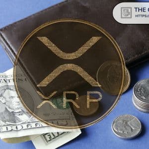 Miles Franklin CEO Admits Holding XRP, Places It in Top 10% of Investment Pyramid