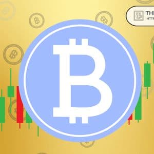 Multiple Market Signals Suggest It May Be Too Early to Call the Bitcoin Bottom