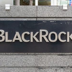 BlackRock Steps Into Decentralized Finance With BUIDL on Uniswap
