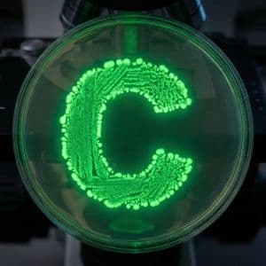 Bitcoin Slides as Tariff Tensions and Market Sell-Offs Deepen Crypto Losses