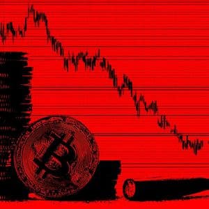 Cango Posts $452.8M Net Loss in First Year of Bitcoin Mining